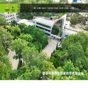 中色（宁夏）东方集团有限公司