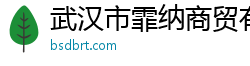 武汉市霏纳商贸有限公司