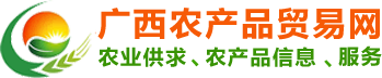 首页