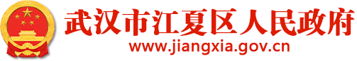 武汉市江夏区人民政府