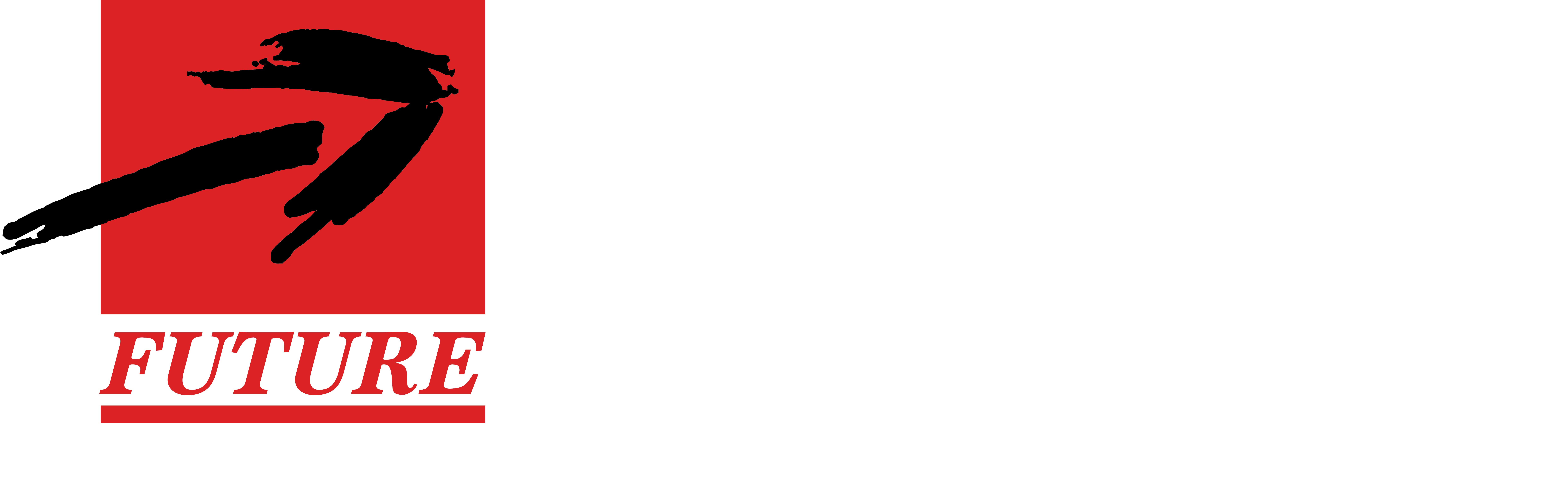 青岛未来盛世企业管理咨询有限公司,青岛市场调查,青岛市场研究,市场调研