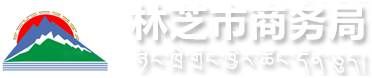 林芝市商务局