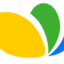 金刷子公文网