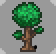 wetree