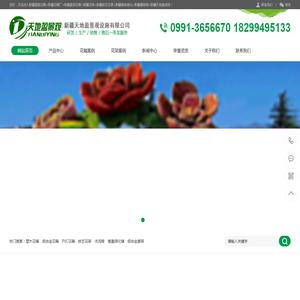 新疆道路花箱+新疆花箱厂+新疆景观花箱+新疆花架+新疆铁艺花架+新疆墙体绿化+新疆植物墙+新疆天地盈景观设施有限公司