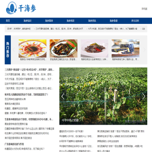 干海参网