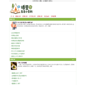 博营网