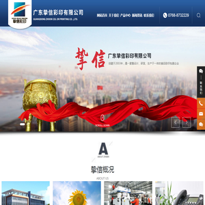 广东挚信彩印有限公司
