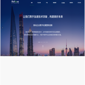 上海比孚信息科技有限公司