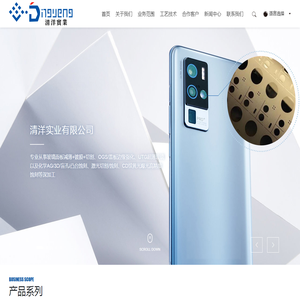 惠州市清洋实业有限公司