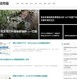 新媒体传播网